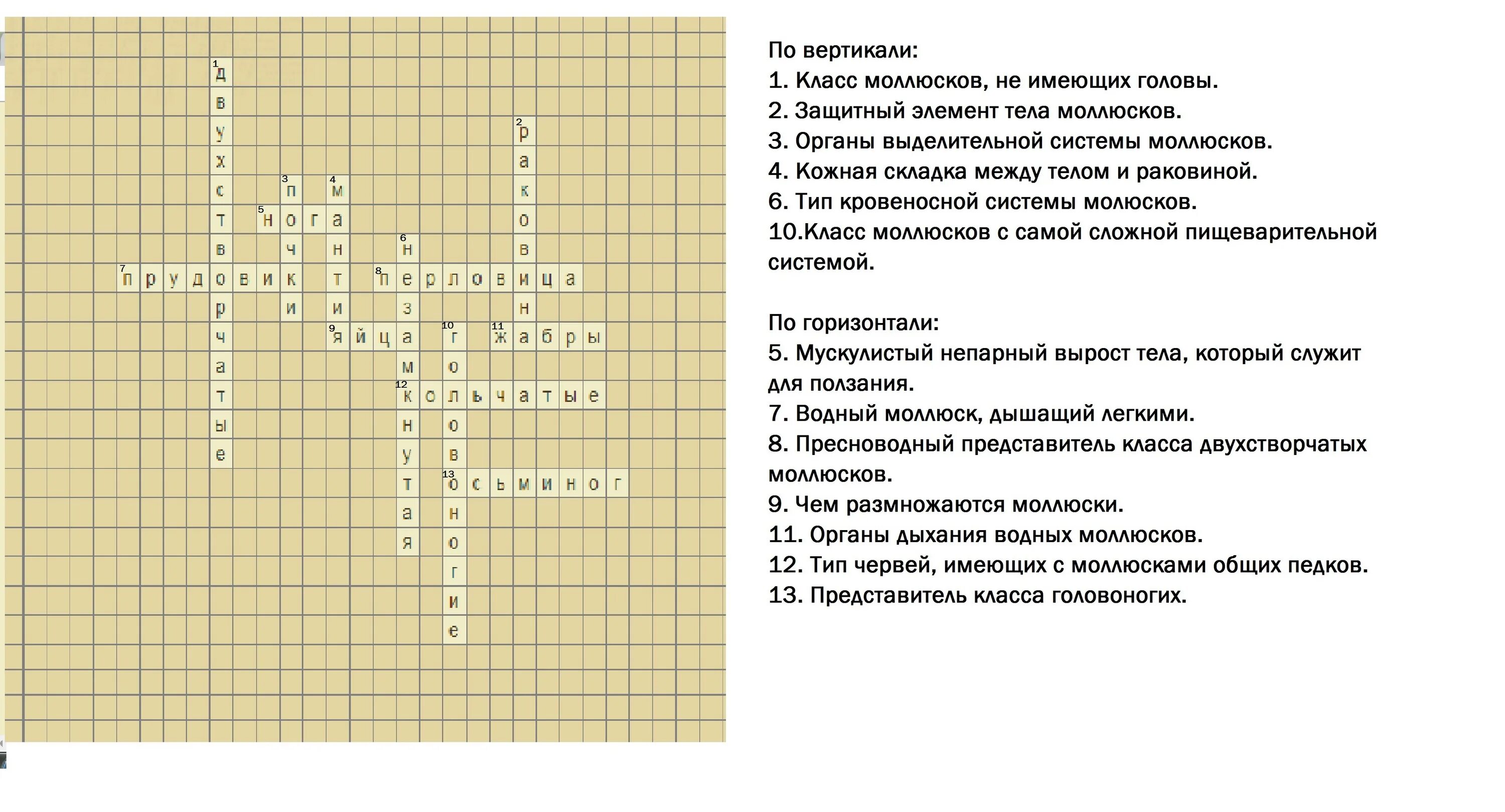 Червь сканворд. Кроссворд по теме моллюски. Кроссворд на тему моллюски. Кроссворд по биологии моллюски. Кроссворд по биологии на тему моллюски.