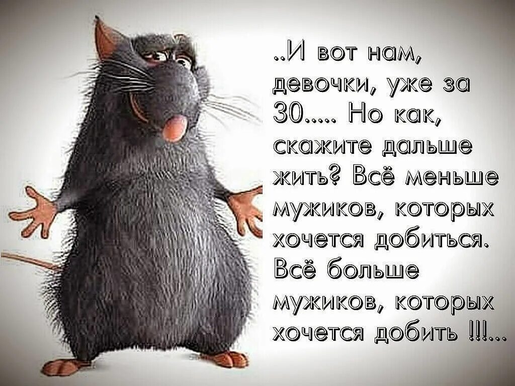Статусы изображения. Статусы прикольные ржачные. юморные статусы. смешные статусы в картинках. веселые статусы.