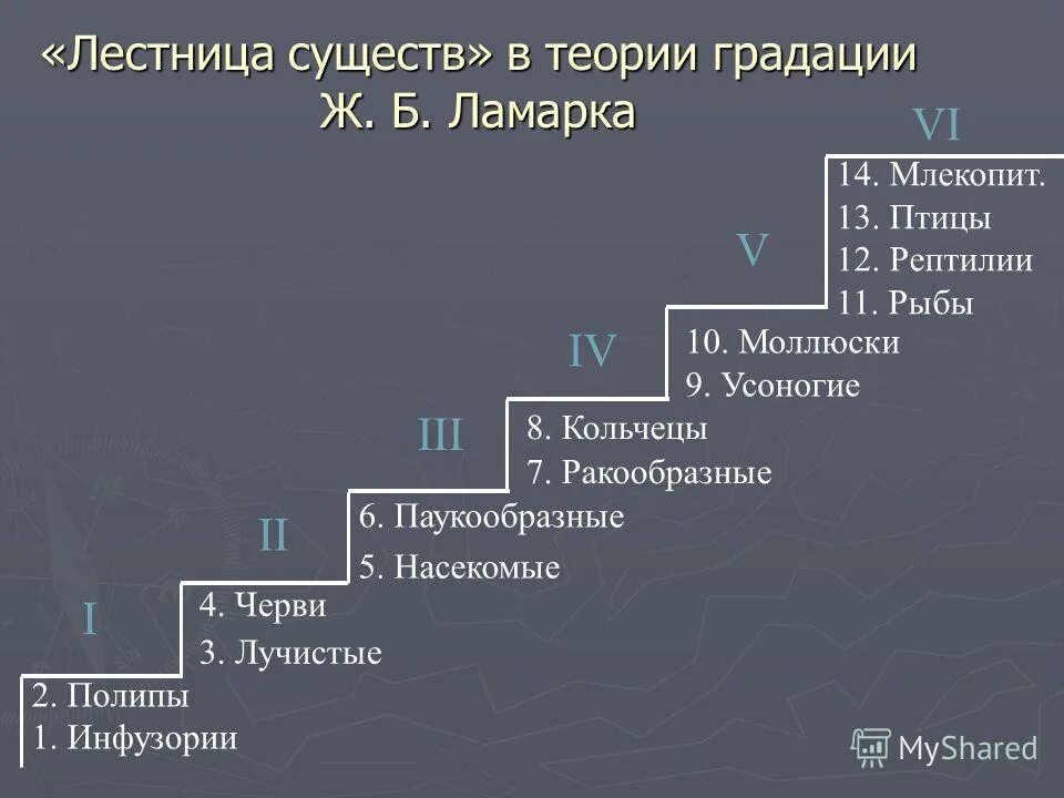 Эволюционная теория ламарка презентация