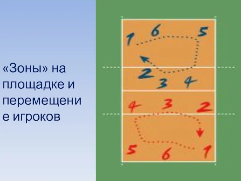 На сколько зон делится площадка. Зоны волейбольной площадки. Зовы на волейбольной площадке. Волейбольная площадка с зонами игроков. Зоны на волейбольной площадке и перемещение игроков.