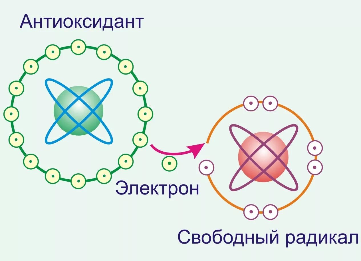 Кожей радикал