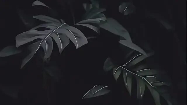 Thelema slowed. Thelema ofdream. thelema ofdream обложка. fdream - thelema (slowed.