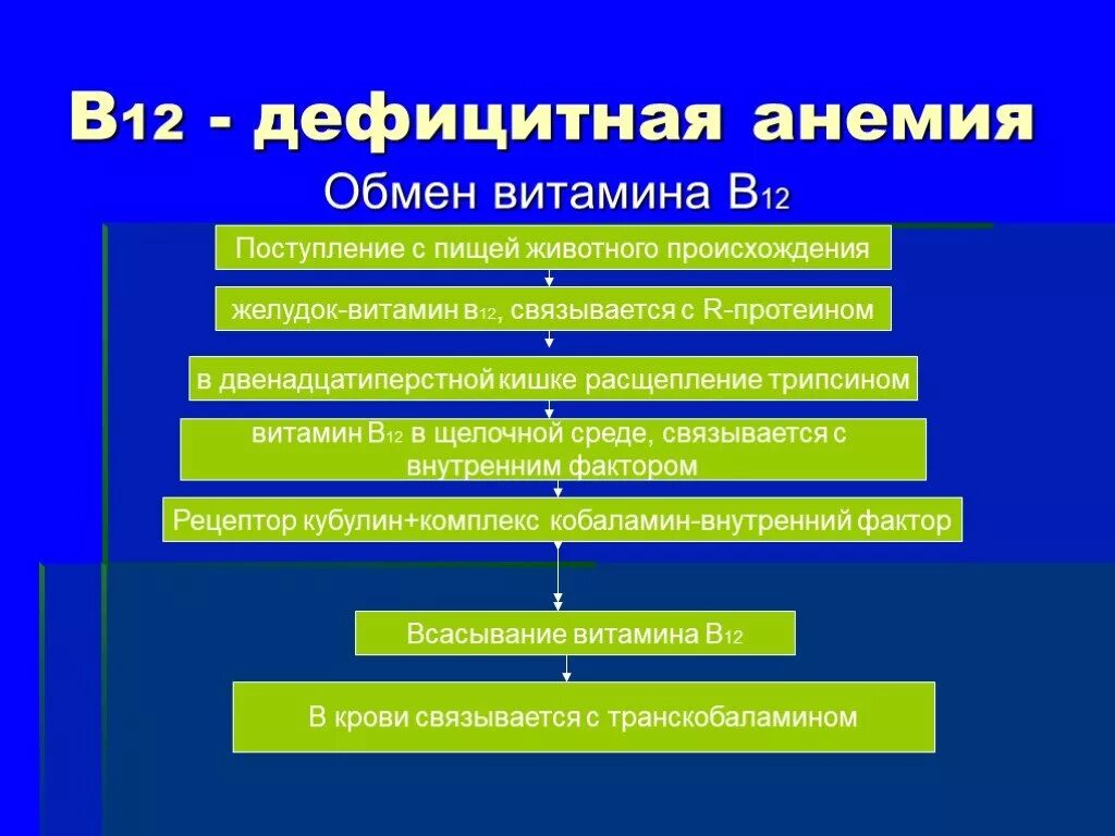 Метаболизм витамина в12. Метаболизм витамина d12. Обмен витамина в12. Обмен витамина б12 в организме. Б 12 исследования