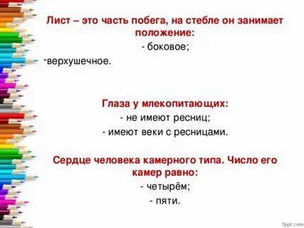 Какого было их положение ответ