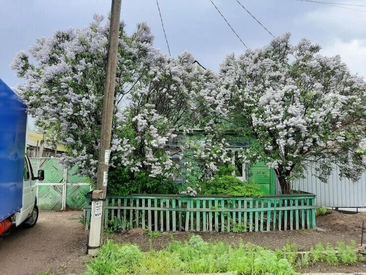 роща 13. стрелецкая улица 13. роща 13. экологическая тропа большая сосновая. 17-й проезд марьиной рощи, 13с5.