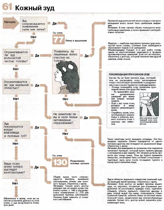 Задний проход чешется причины у мужчин лечение. Кожный зуд патогенез. Механизм развития зуда. Механизм развития зуда кожи.