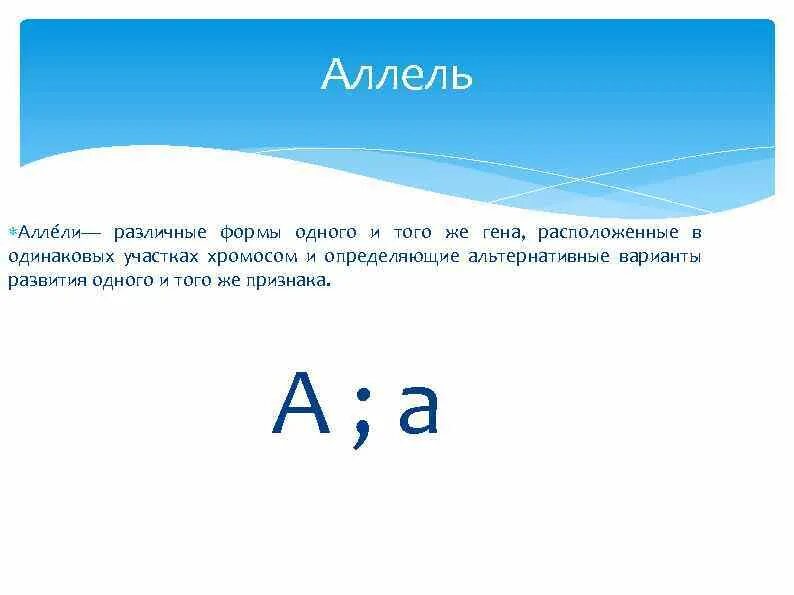 Аллель. Аллель это в генетике простыми словами. Аллель это простыми словами. Понятия аллель и Гена. Аллель и аллельные гены