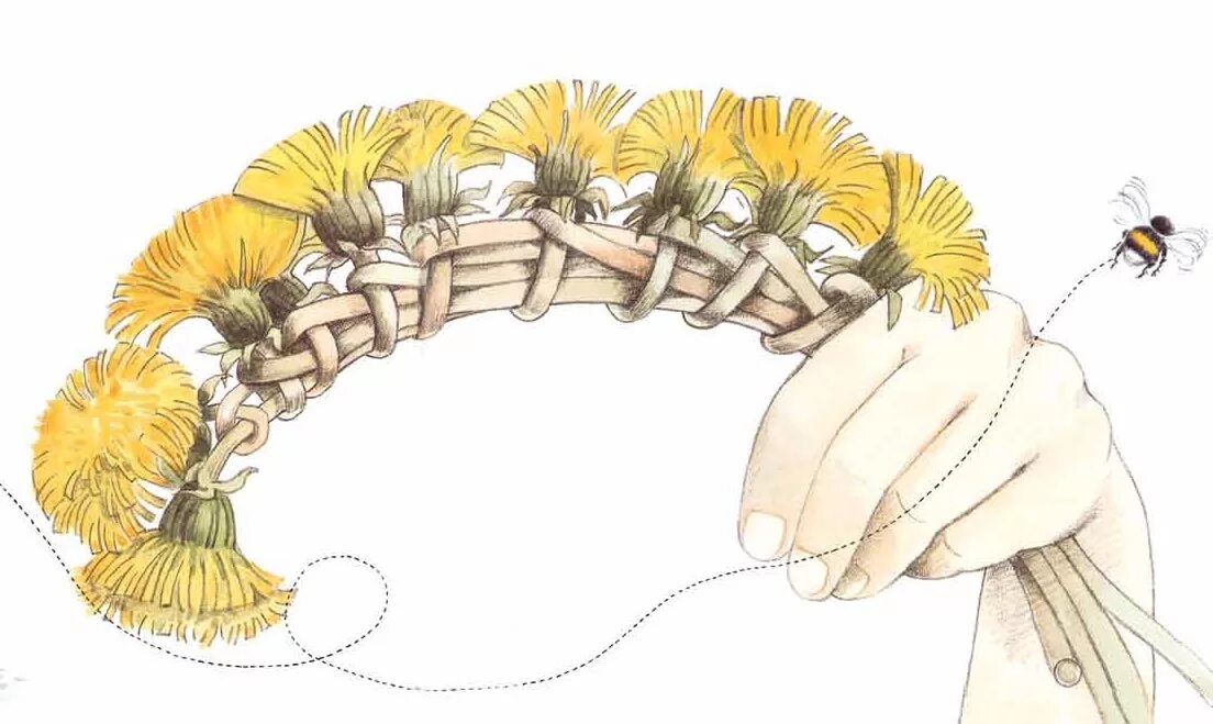 Как плести венок из одуванчиков. Плести венок из одуванчиков. Схема плетения веночков из одуванчиков. Плетение венка из одуванчиков. Плетение ободка из одуванчиков.