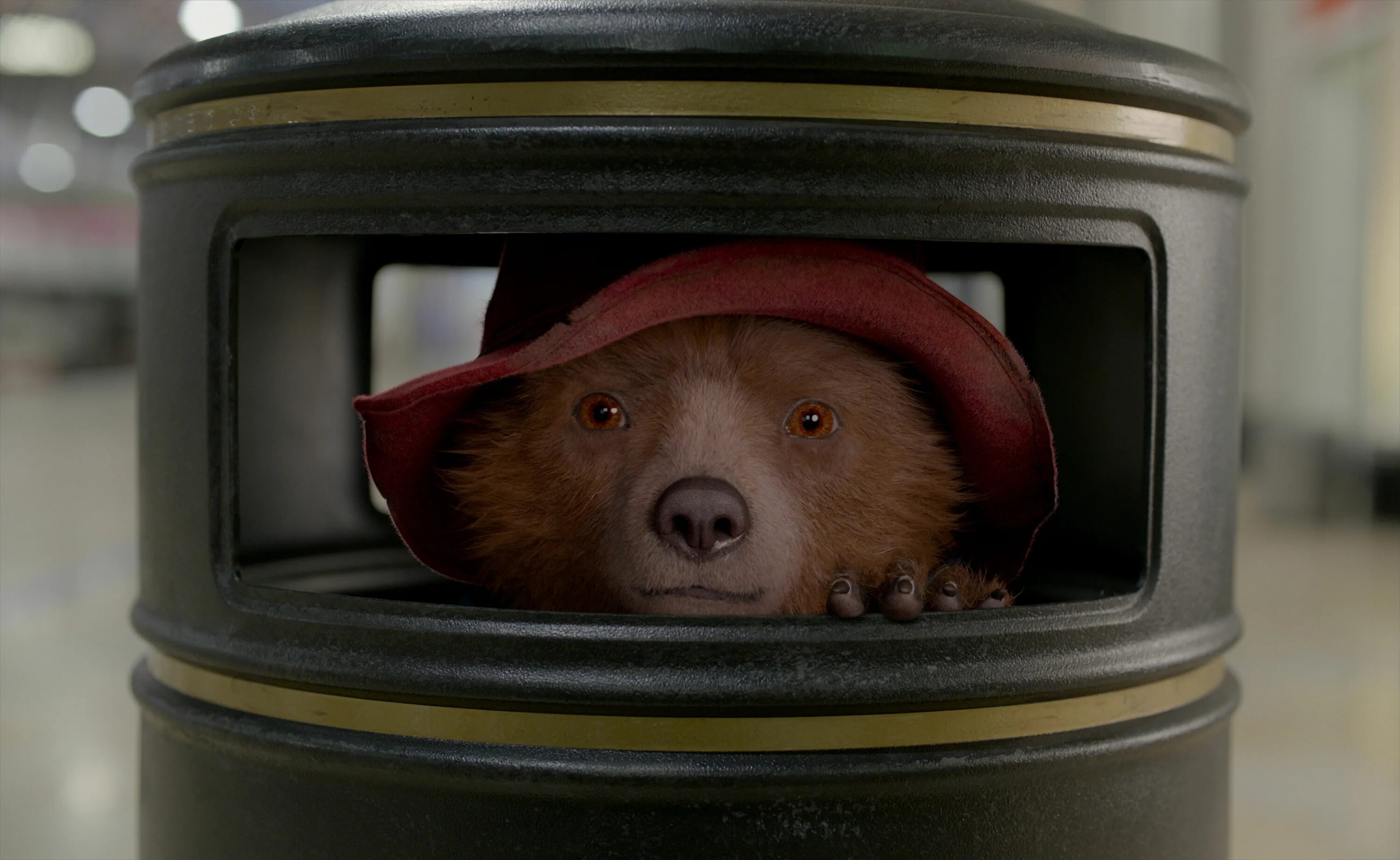 Медведь Паддингтон 2. Приключение Паддингтон 1. Приключение 2 2014