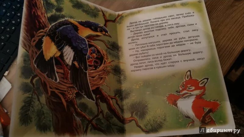 Кот лиса и дрозд читать. Сказки лиса и дрозд. книга лиса и дрозд. лиса и дрозд. книжка-панорама.