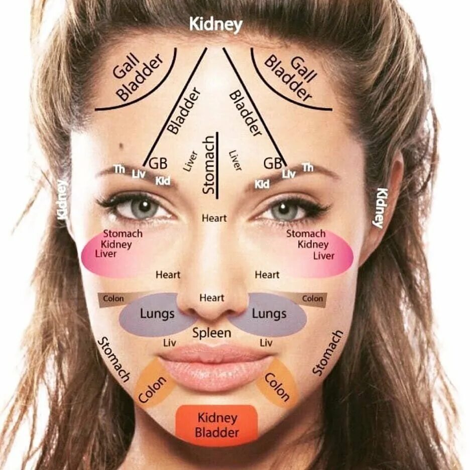Прыщи на лбу какой орган у женщин. Зоны органов на лице. Расположение органов на лице. Зоны прыщей на лице. Схема органов на лице.