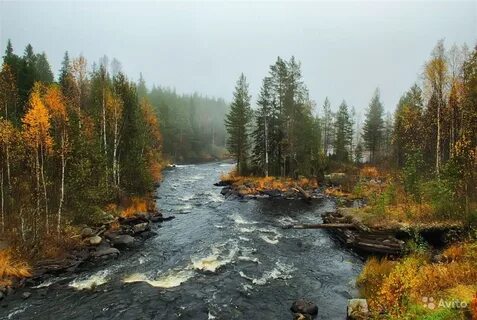 Река белая карелия