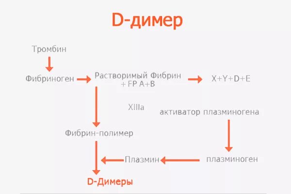 Показатели анализа д димер. Схема образования д димера. Норма д-димера в крови. Критичные показатели д димера. Ковид димер