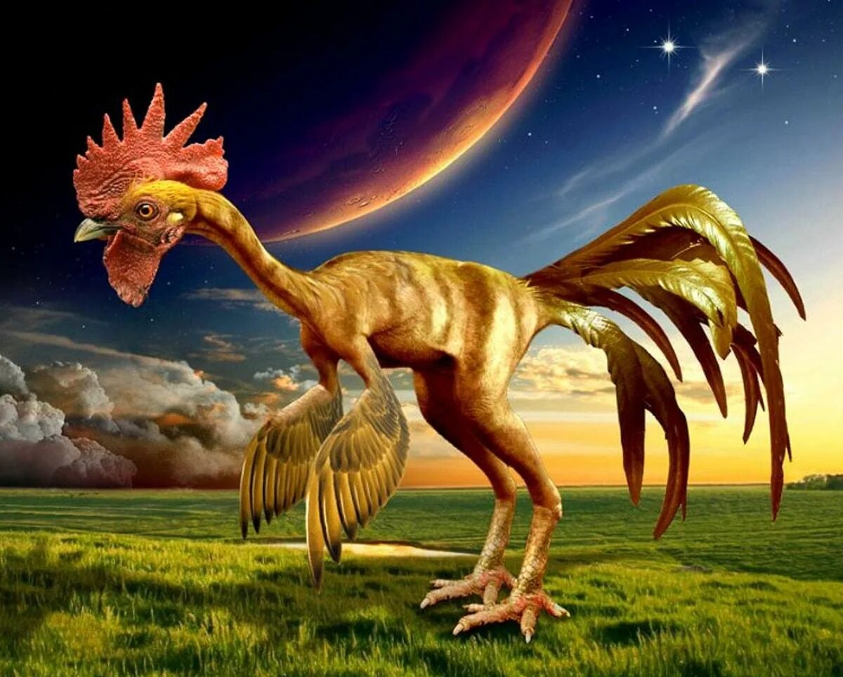 Курозавр Хорнер. Курица потомок динозавров. Динозавр прародитель курицы. Потомки динозавров. Динозавры это животные