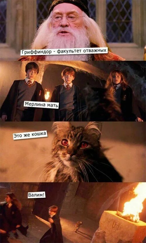МЕМЫ - Яндекс.Диск Гарри поттер, Хогвартс, Мемы