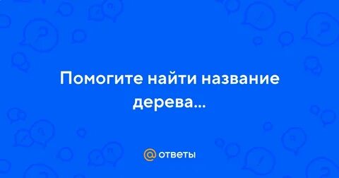 Поиском называют
