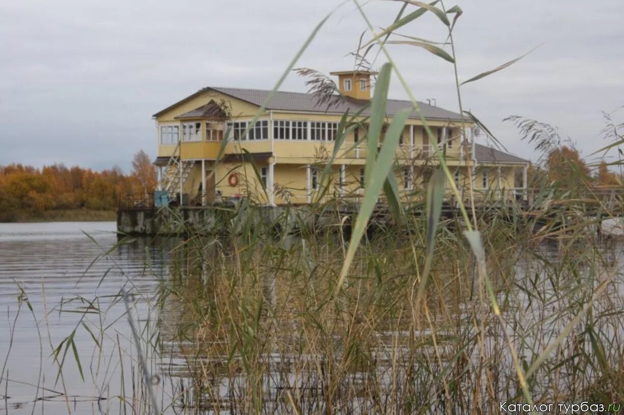 Рыбинское водохранилище домики. Дом отдыха Рыбинское водохранилище. Рыбинское водохранилище базы. Рыбинский трофей. Рыбинское водохранилище база отдыха рыбалка.