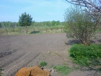 Снт геофизик