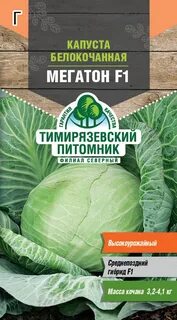 Капуста сорт мегатонн