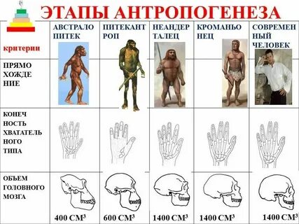 Какими воспринимал прадед людей с высоты