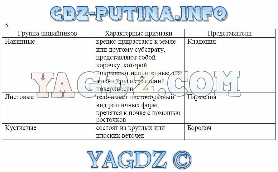 Биология таблица лишайники 5 класс биология. Таблица по биологии 7 класс лишайники. Таблица многообразие лишайников 5 класс биология. Таблица про лишайники по биологии 5 класс.