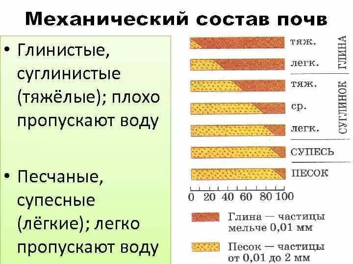 Механический состав почвы. Механический состав почвы таблица. Почвы по механическому составу. Механический состав. Восточно европейская равнина особенности механического состава почв