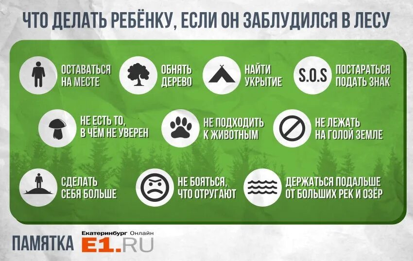 Что нужно делать в лесу если заблудился