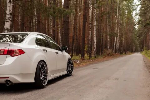 Accord 241