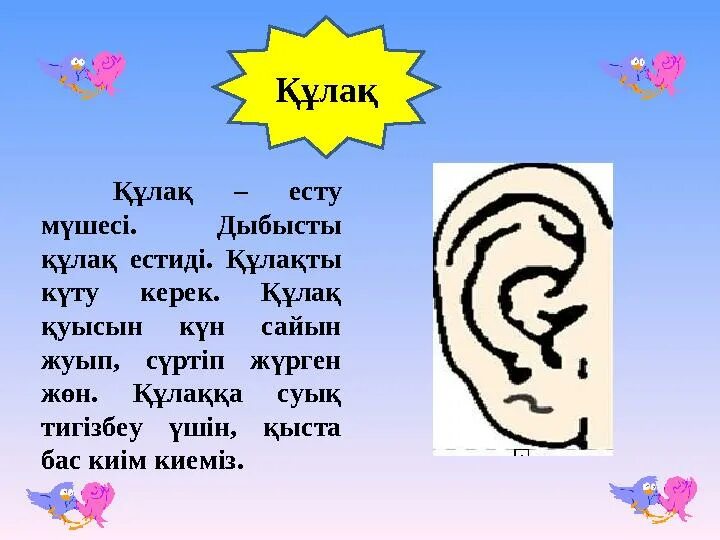 Есту места