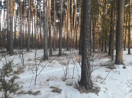 Середина декабря