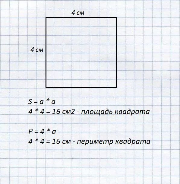 Найди периметр квадрата 25 мм 2 класс