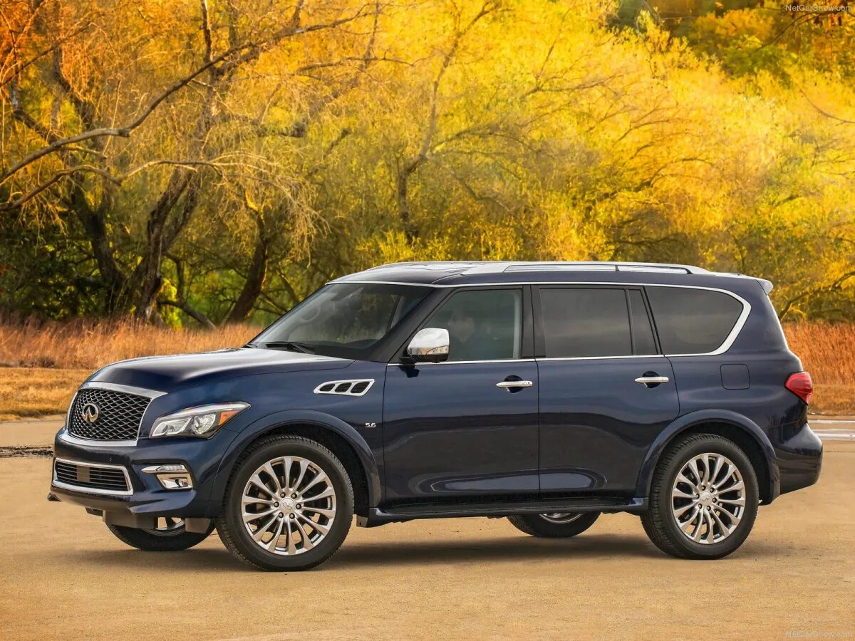 Infiniti qx80 2015. Инфинити джип qx80. infiniti qx80 2016. infiniti qx80 5.6.