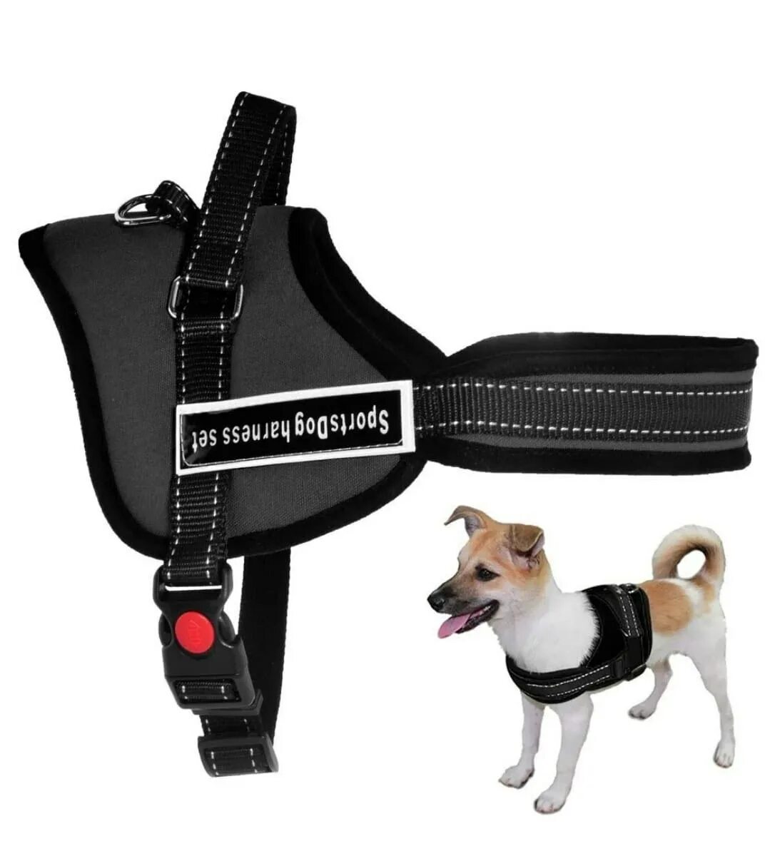 Шлейка для собак Sports Dog harness Set. Шлейка Nunbell. Ferplast Sport Dog шлейка. Шлейка для собак Refl Dog harness. Шлейки для собак мелких пород купить