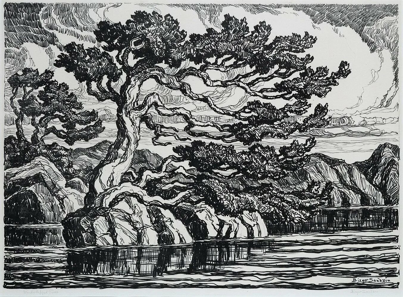 Камерон гравюры павловский парк. Сайт гравюры. Гравюрная техника. Сайт гравюры. Гравюра, линогравюра, ксилография, офорт,эстамп.