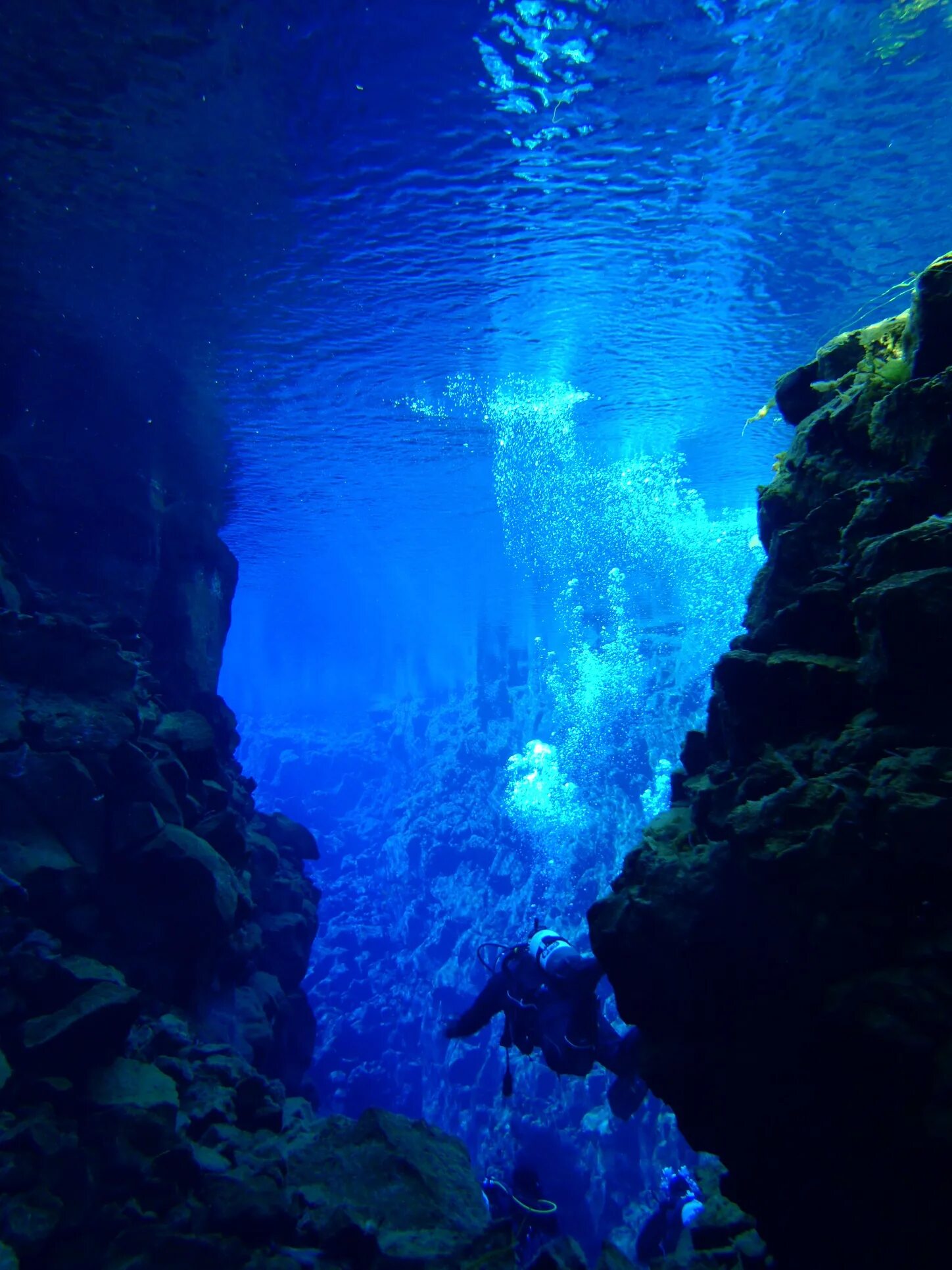 Мир подводной глубине. Ущелье Сильфра Исландия. Ущелье Силфра, Исландия дайвинг. Рифт Сильфра. Разлом Сильфра.