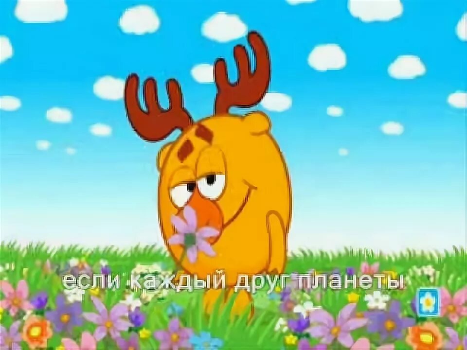 Смешарики несколько мелочей на фоне природы. Смешарики песня про дружбу. Песни смешарики дружба. Смешарики дружба. Смешарики.