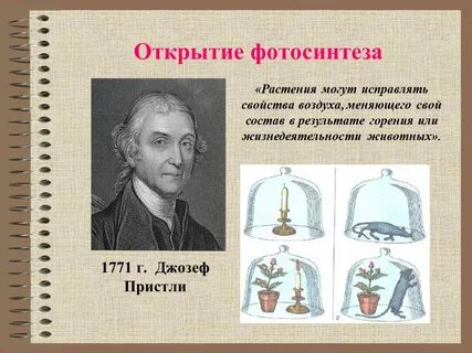 Исследования фотосинтеза