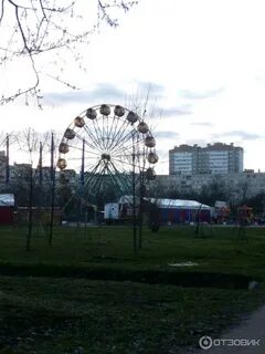 Цирк в парке есенина 2024