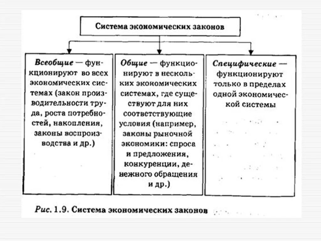 4 экономические категории. Система экономических законов кратко. Система экономических законов и их специфика. Специфические законы экономики. Общие и специфические экономические законы.