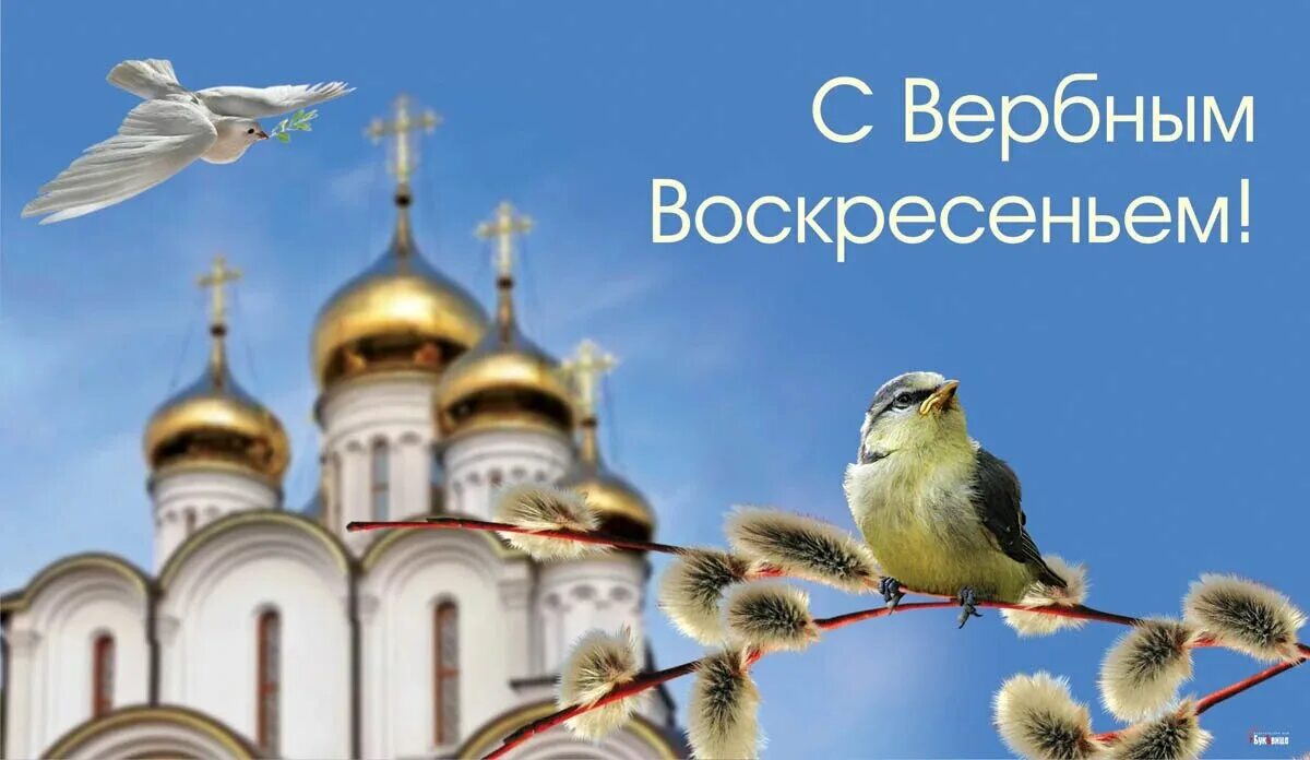 Когда вербное в 2024г. С Вербным воскресеньем. Свербным врскресеньем. С Вербным воскресеньем открытки. С Вербным воскресеньем фото.