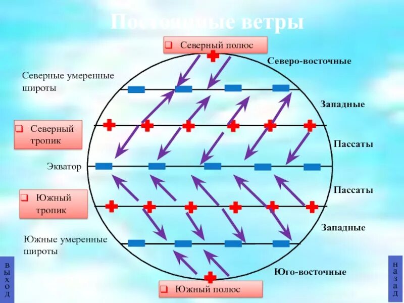 Преобладающее направление движений. Преобладающее направление движений