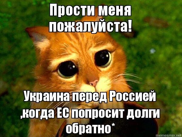 Подумайте пожалуйста. Прости нас пожалуйста. прости меня пожалуйста. прости пожалуйста. ну прости меня пожалуйста.