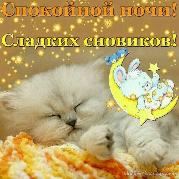 Хороших снов красивые. Открытки нежных снов. Спокойной ночи картинки милые и нежные женщине. Спокойной ночи сладких снов. Самых милых и нежных снов.