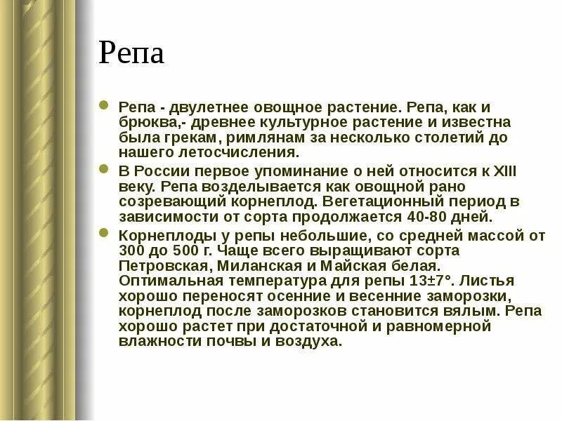 Полезные свойства овощей. Рагу из репы. Репа полезные качества. Чем полезна репа для организма. Репа что можно приготовить.