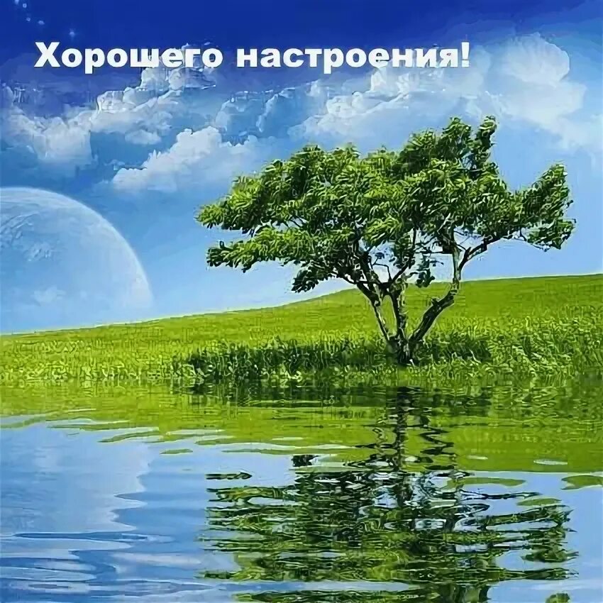 Открытки с природой. Солнечные ромашки. Доброе утро одуванчики. Добрый день пейзажи с пожеланиями. Солнечное утро субботы.