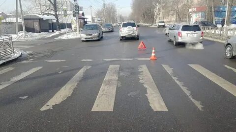 Сбитые на зебре