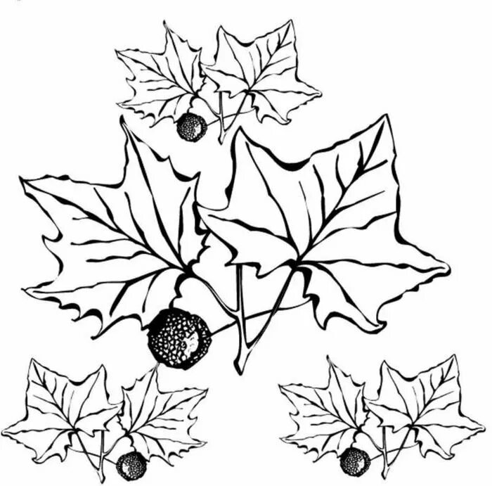 Разукрашивания для детей осенние. Осенний букет раскраска. Осенняя раскраска. Осень раскраска для детей. Раскраска осень для дошкольников.