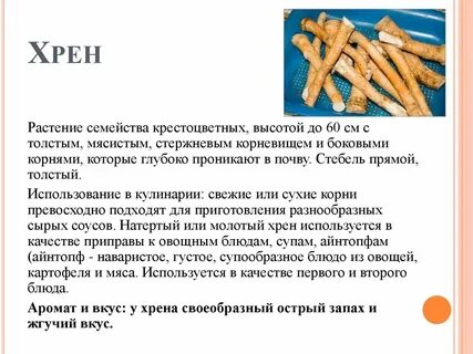 К какой группе относится хрен