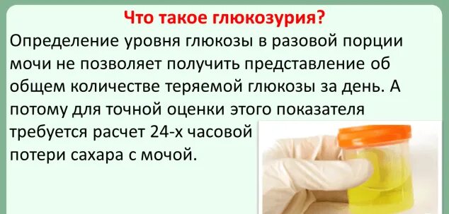 Сбор мочи на сахар алгоритм. Исследование суточной мочи на сахар. суточный анализ мочи на сахар. сбор суточной мочи на сахар алгоритм. суточная моча на сахар норма.