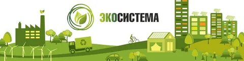 Экосистема сайт